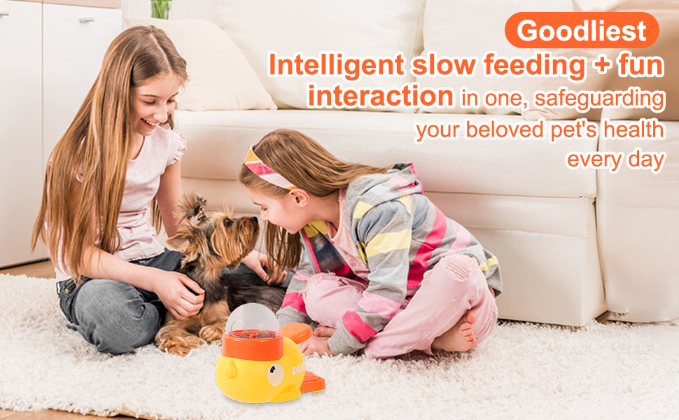 Dog Interactive Treat Dispenser Toy, Food Puzzle Slow Feeder