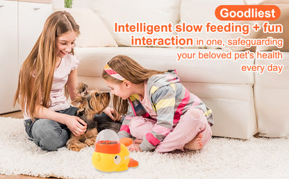 Dog Interactive Treat Dispenser Toy, Food Puzzle Slow Feeder